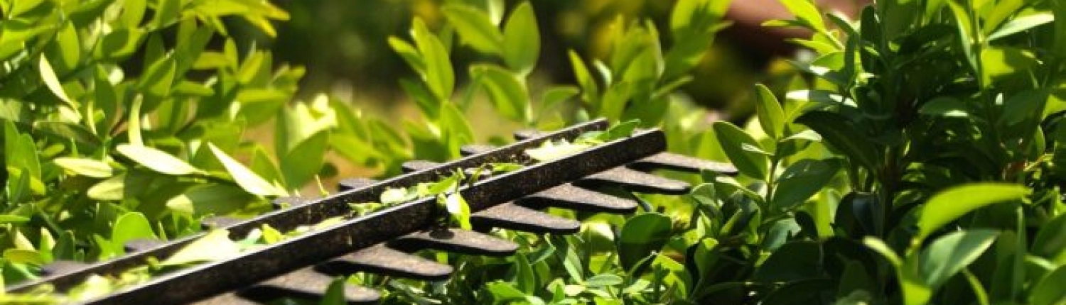 Aménagement de jardins et d'espaces extérieurs en Normandie